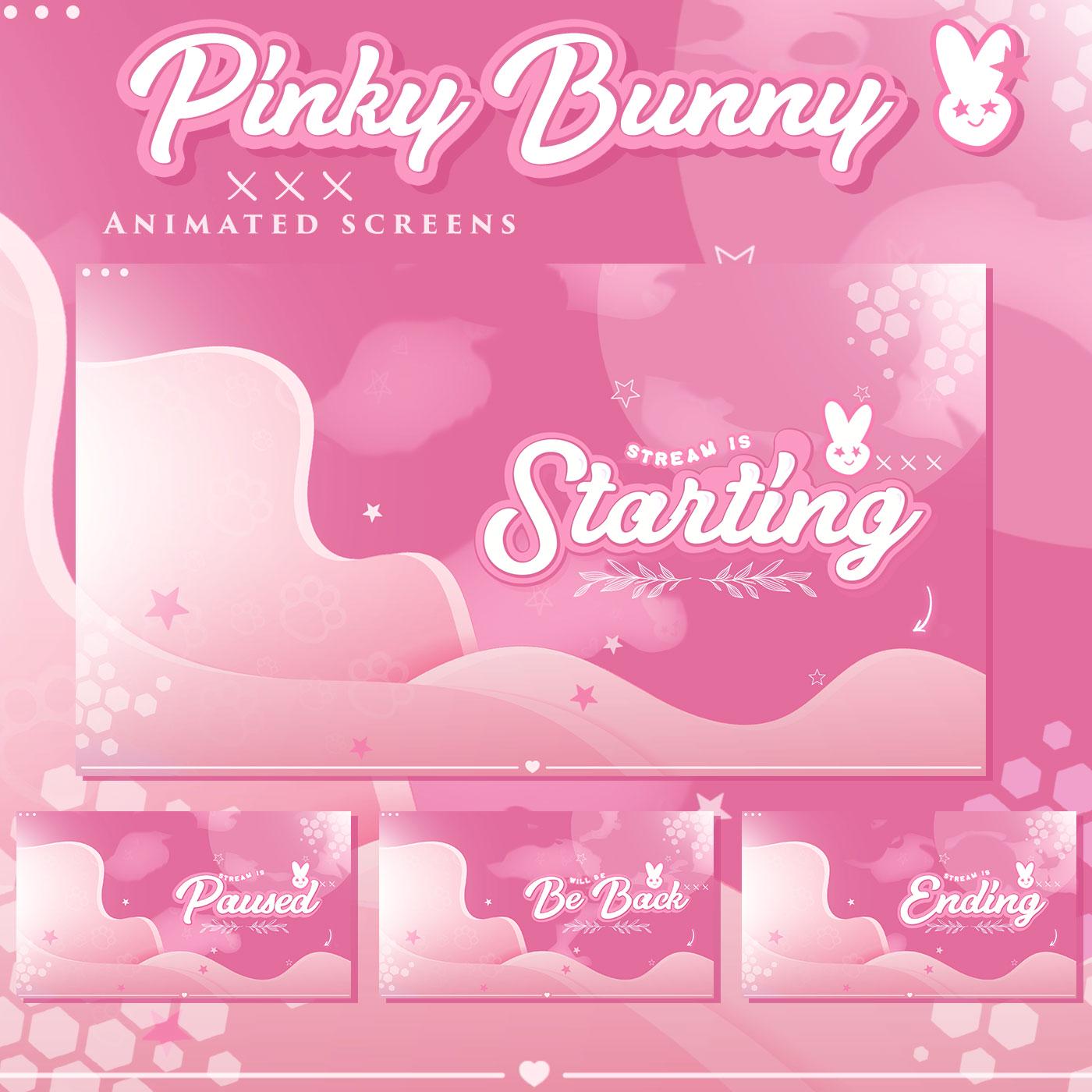 Pinky Bunny Stream package