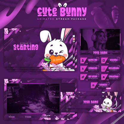 Premium Cute Bunny Stream Package