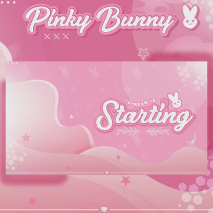 Pinky Bunny Stream package