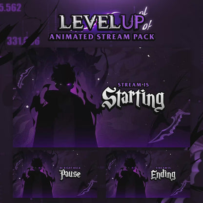 Premium Solo Leveling Stream Package Animated